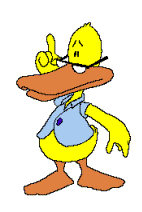 Smart Duck Graphic